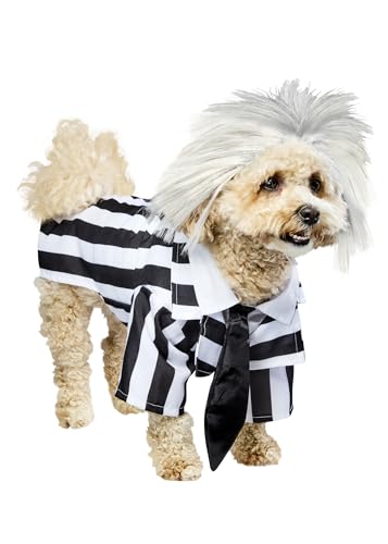 beetlejuice dog costume