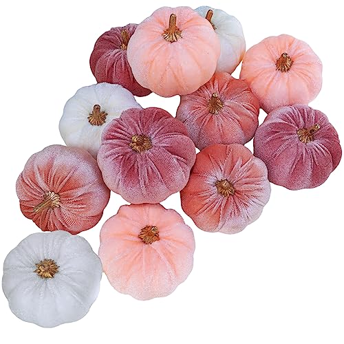 pink velvet pumpkins