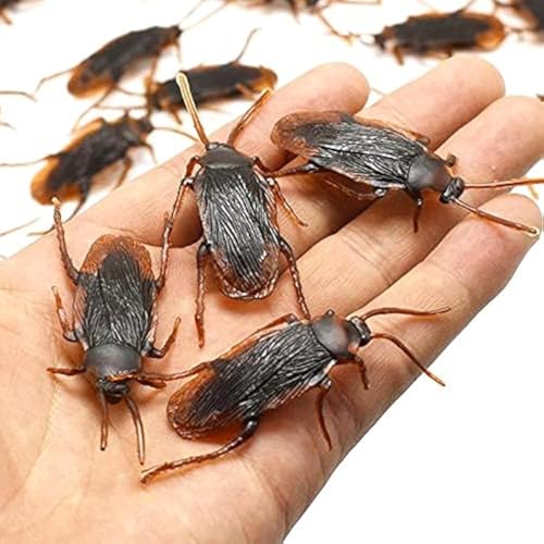 beetles