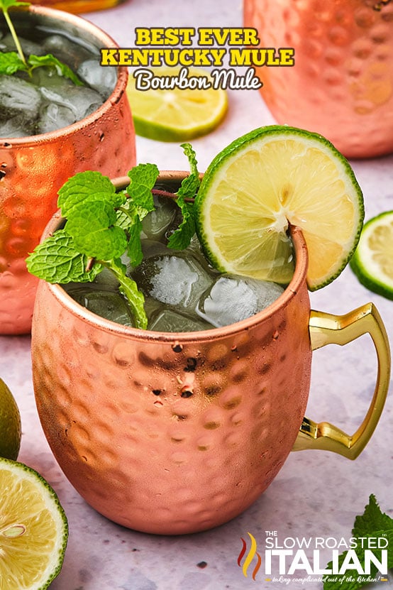 easy kentucky mule