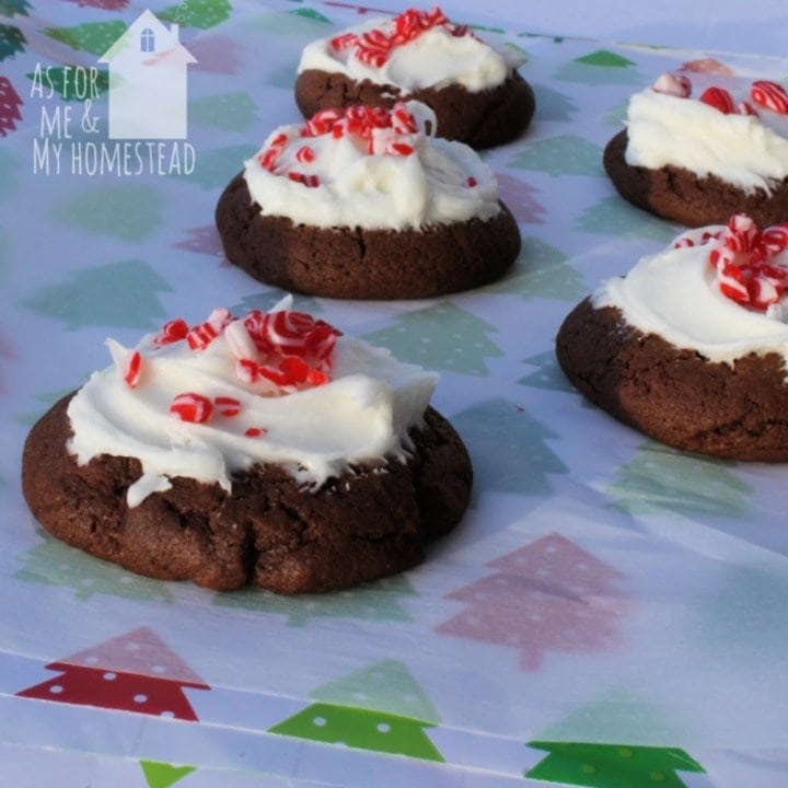 chocolate candy cane cookies with peppermint frosting