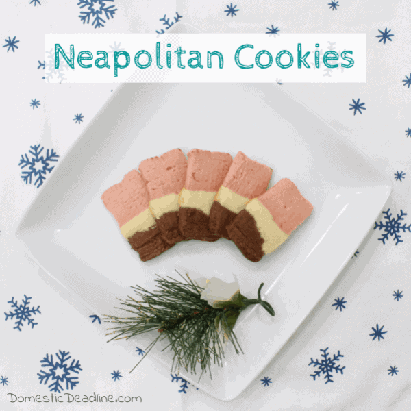 neapolitan cookies