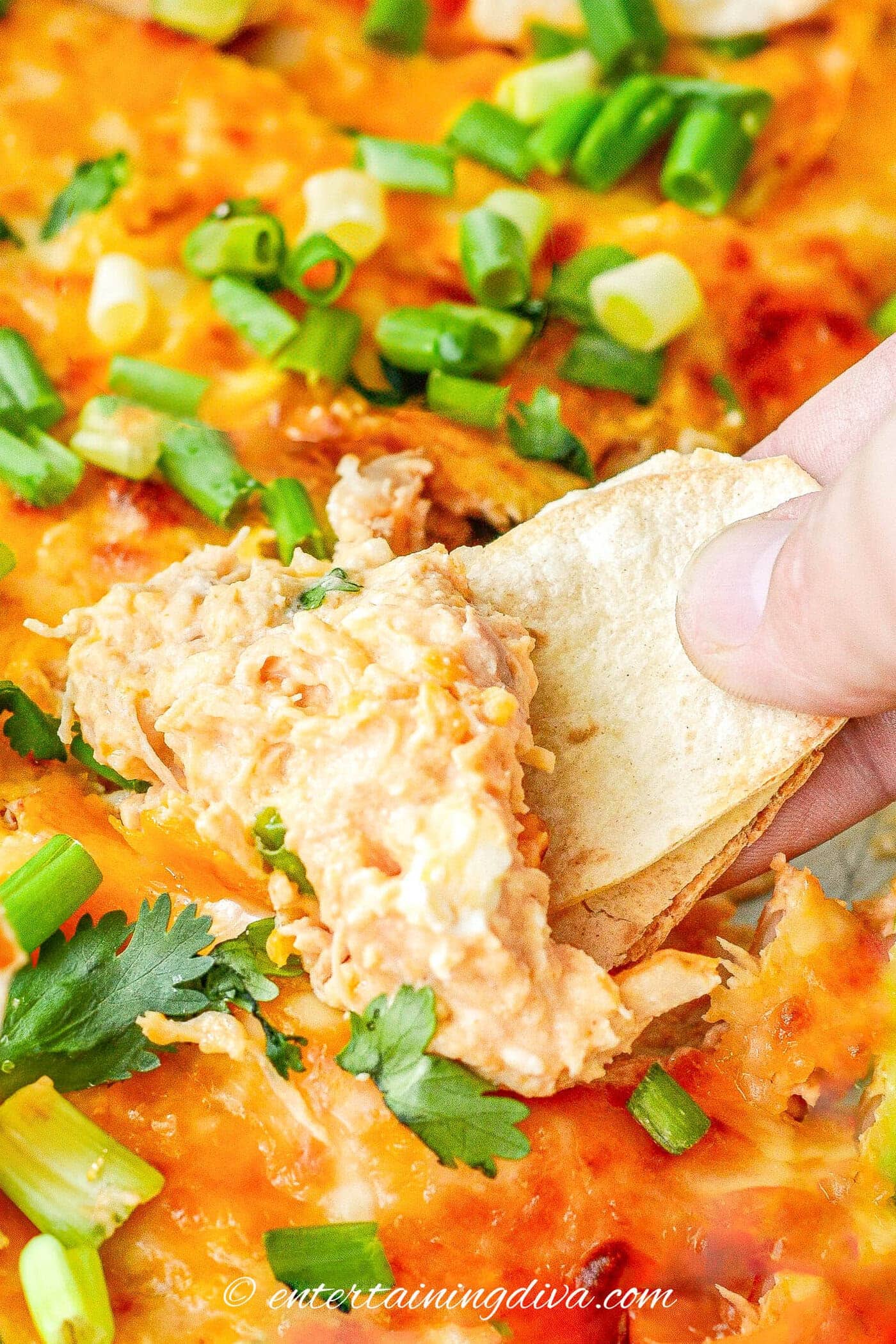 buffalo chicken dip being scooped up with a tortilla chip