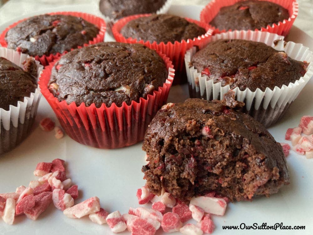 chocolate peppermint protein muffins