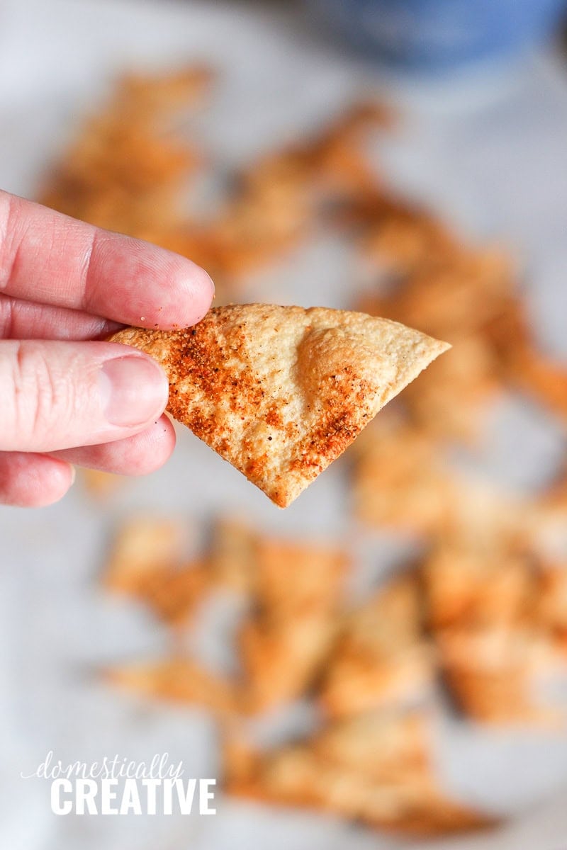 low carb tortilla chips