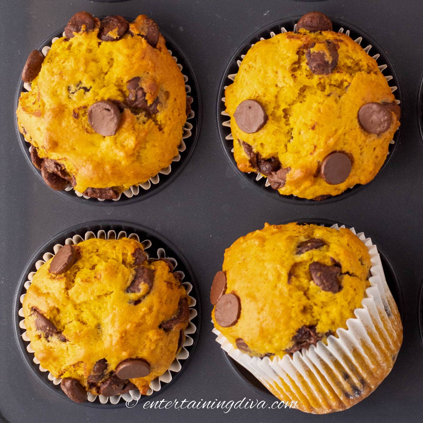 Easy Pumpkin Chocolate Chip Muffins