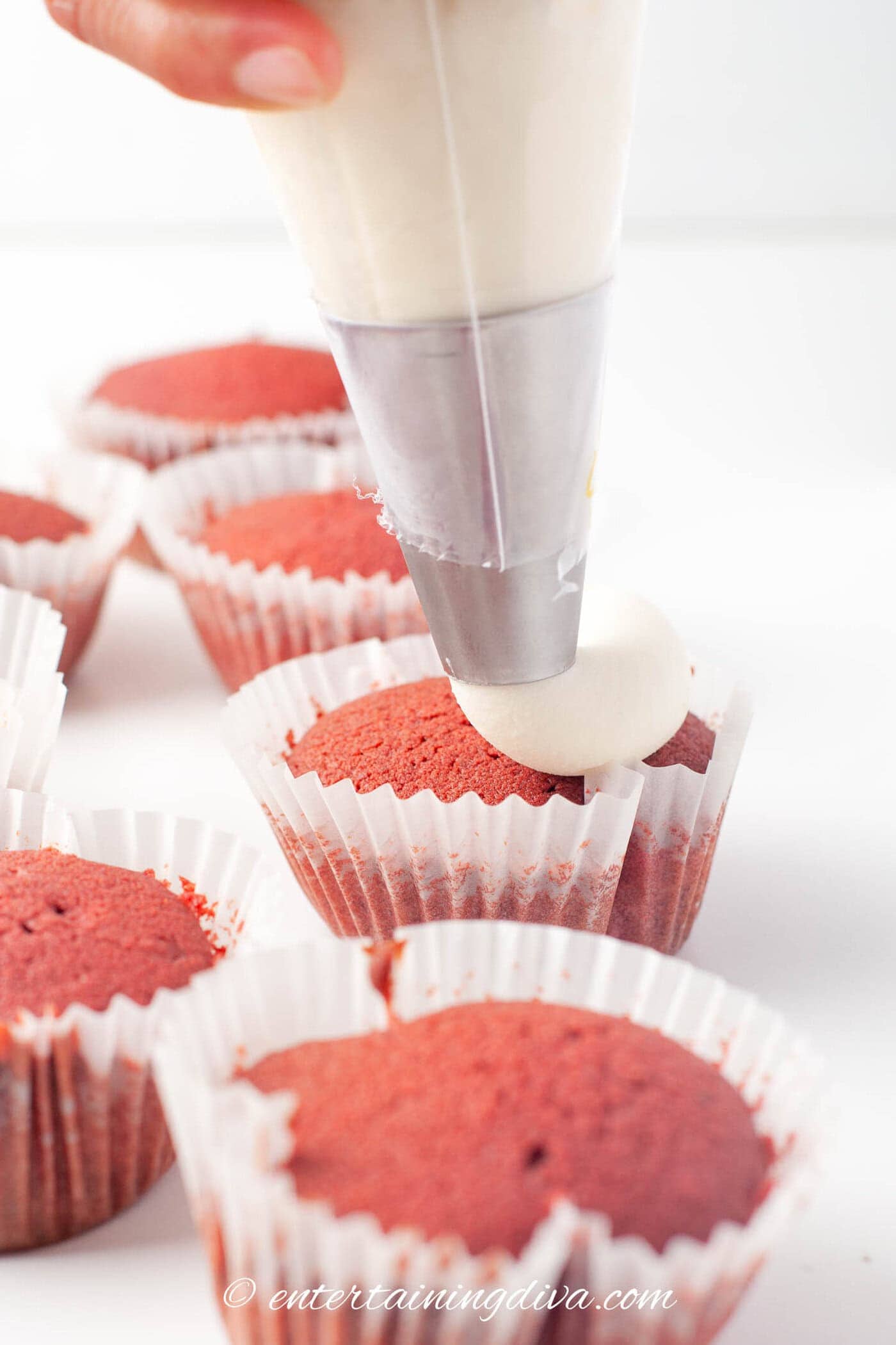 cream cheese frosting being piped onto red velvet cupcakes