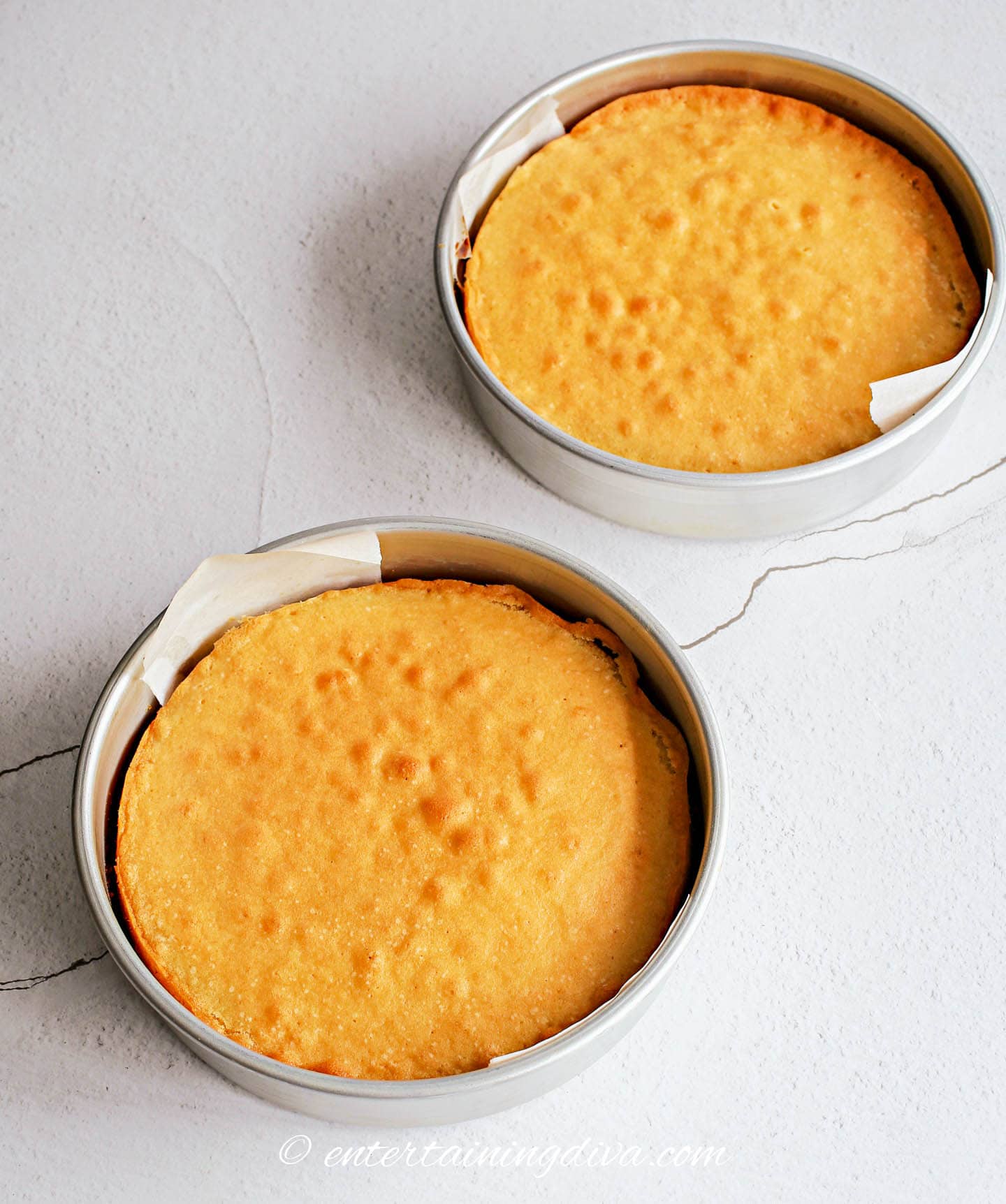 Two baked vanilla cakes in round cake pans