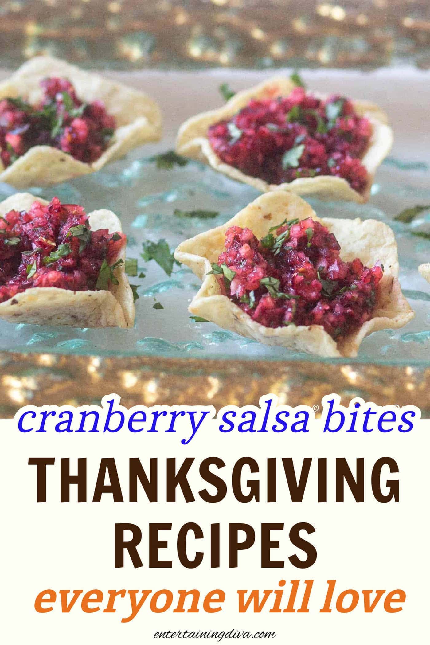cranberry salsa bites