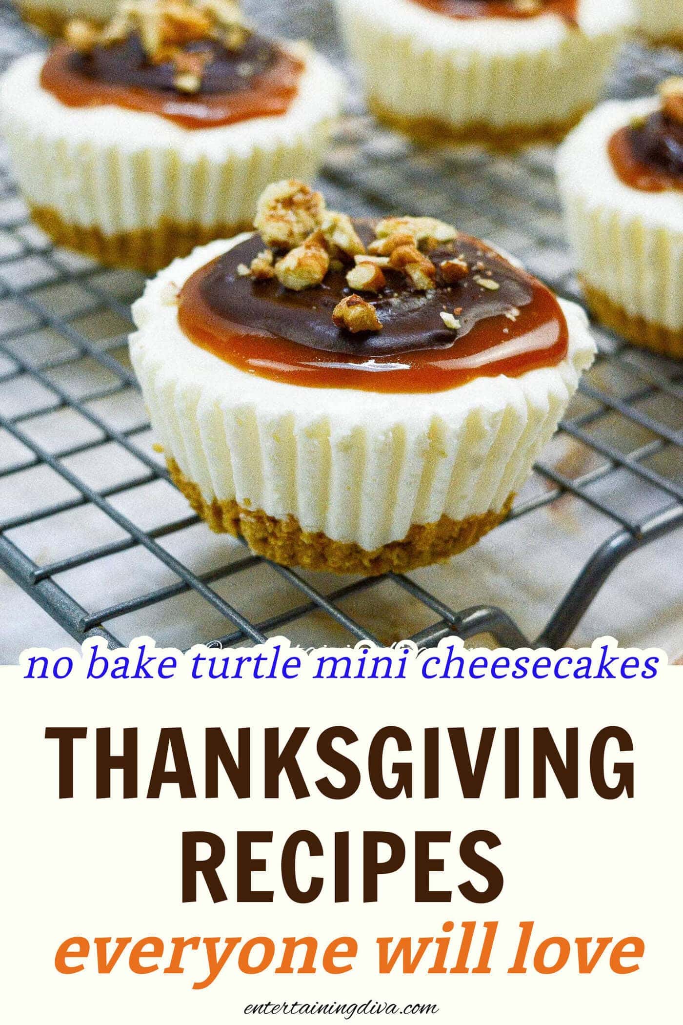 Turtle mini cheesecakes on a wire rack