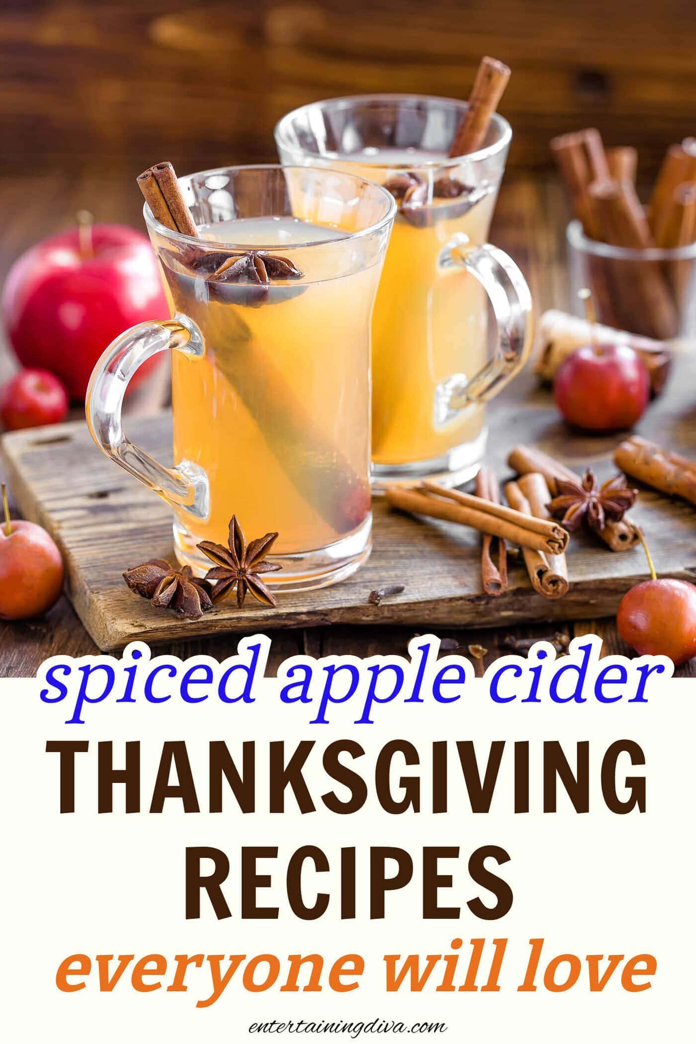 spiced apple cider in glasses with cinnamon sticks and star anise garnish