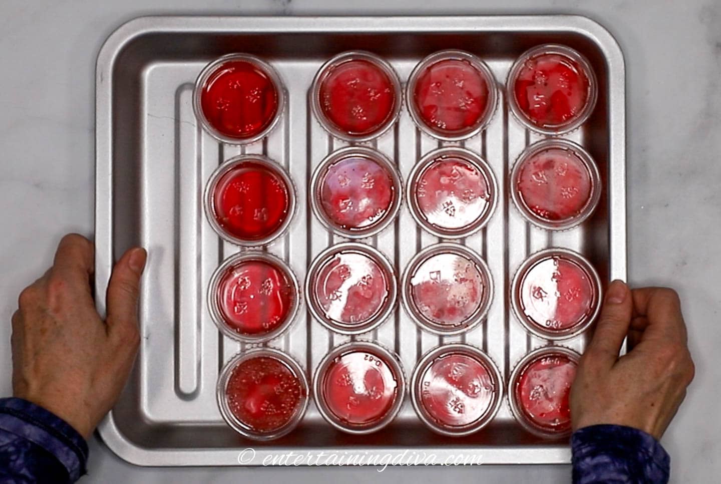 Jello shots with lids on a tray about to be chilled