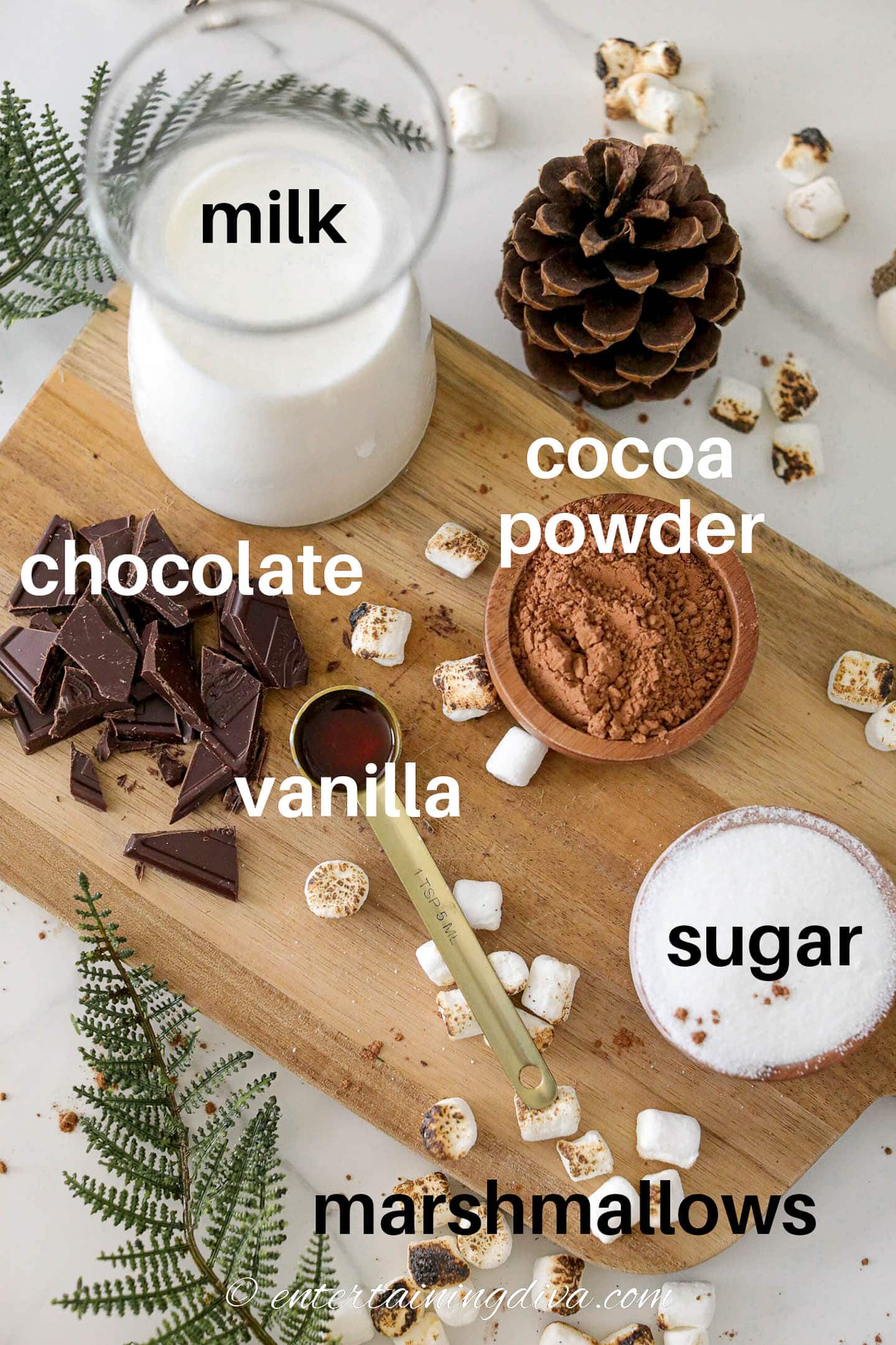 hot chocolate ingredients - milk, cocoa powder, chocolate, vanilla, sugar and mini marshmallows