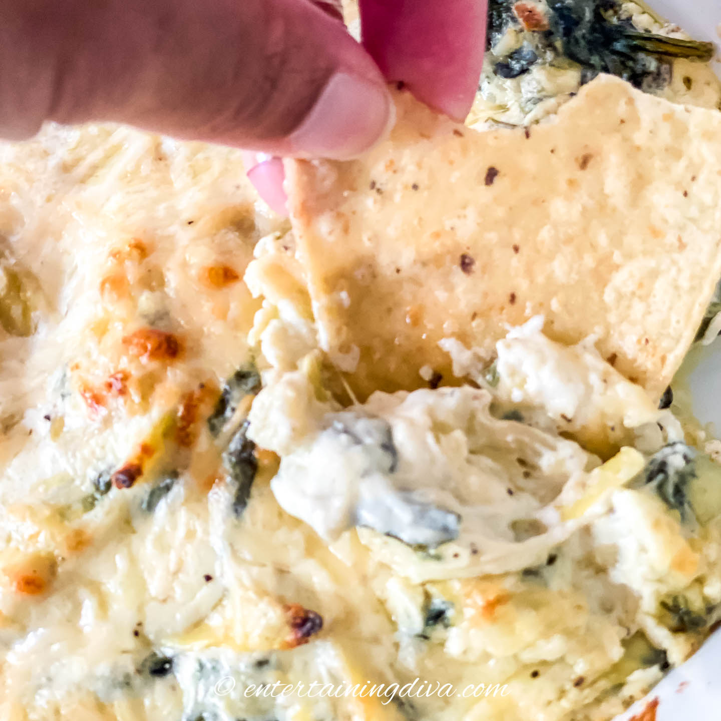 hot spinach artichoke dip on a tortilla chip