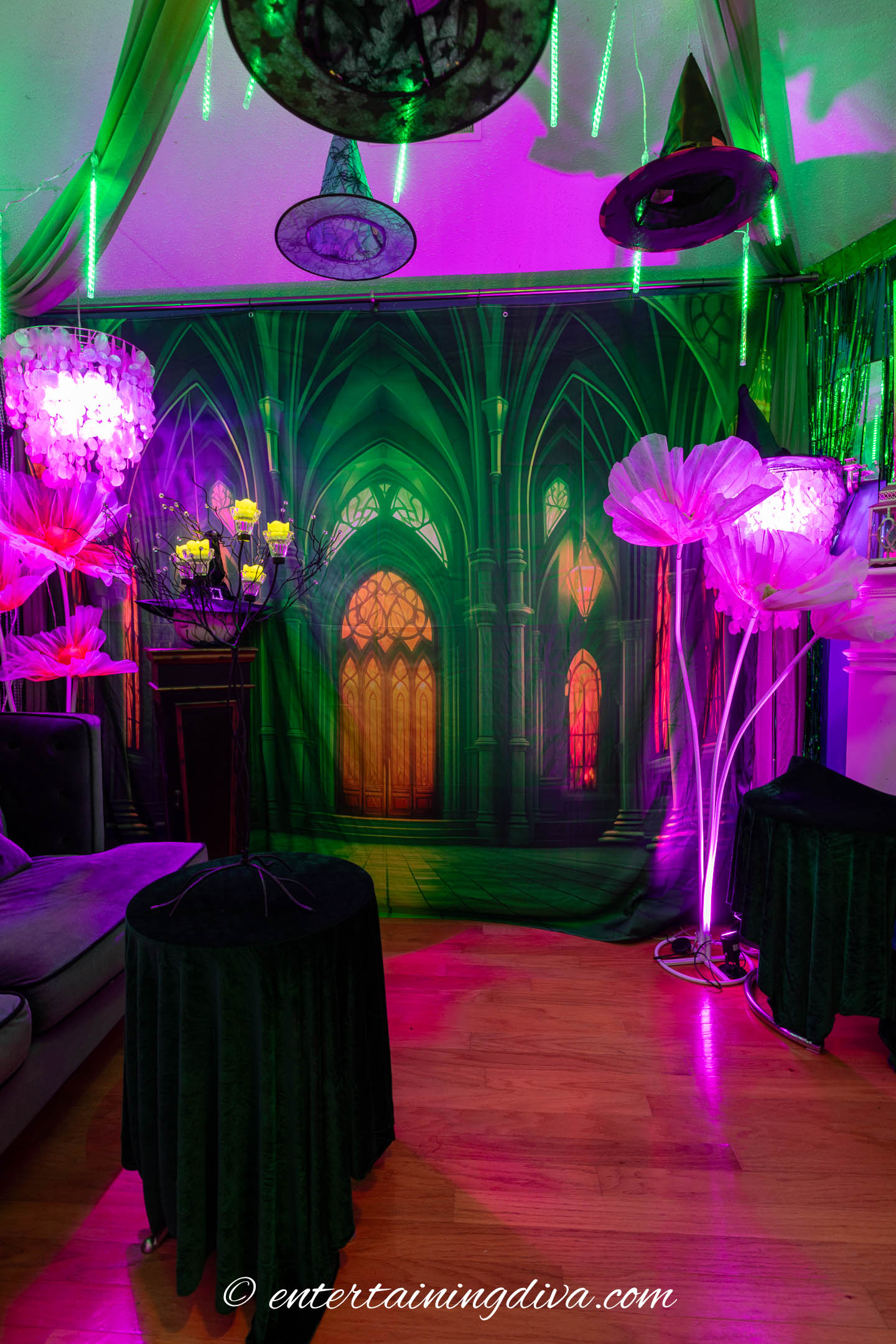 A wizard of Oz background with large pink poppies in a Wicked Halloween party