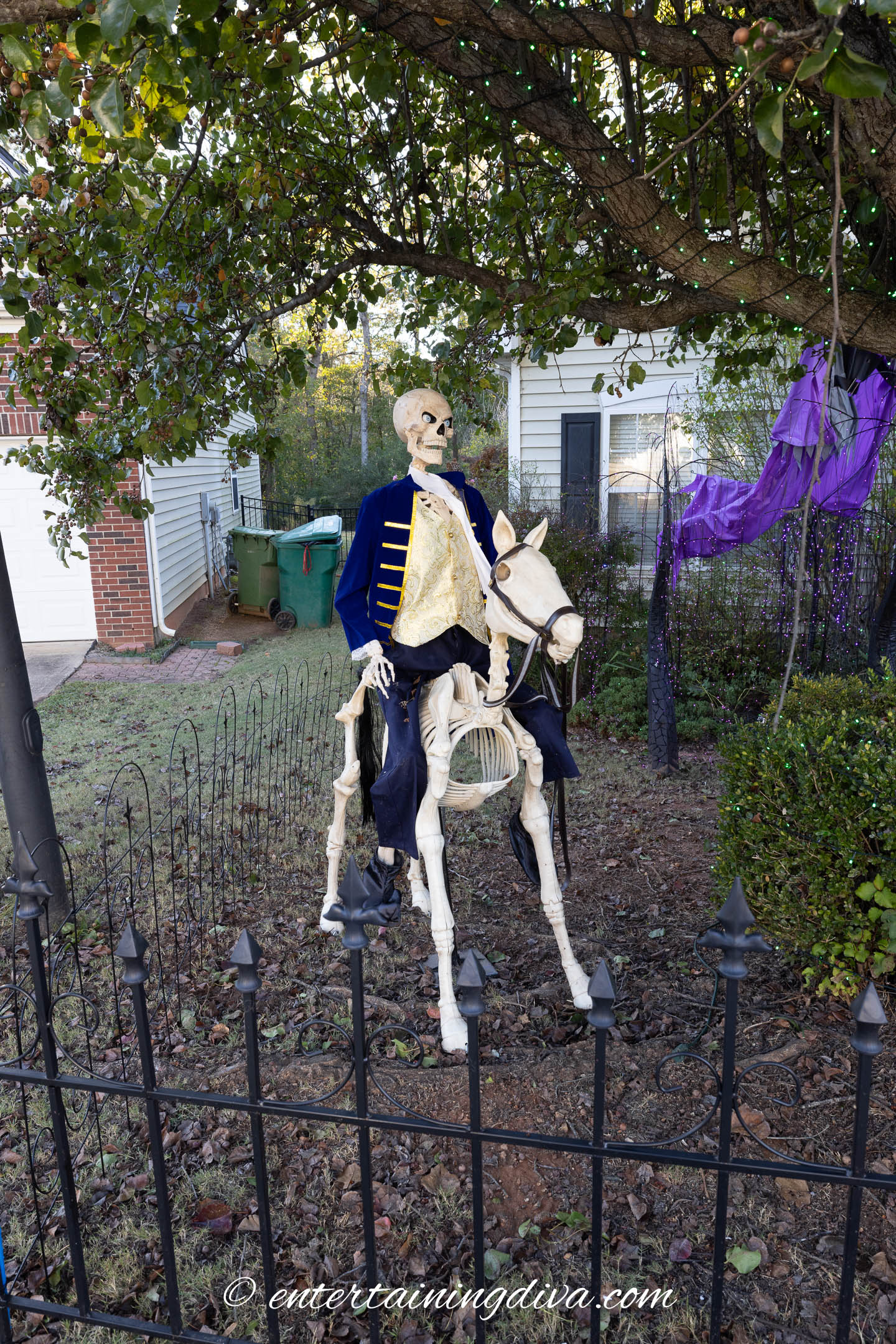 A skeleton in a blue jacket sits on a skeleton horse in a yard decorated for Halloween, next to a black metal fence and purple fabric hanging from a tree.