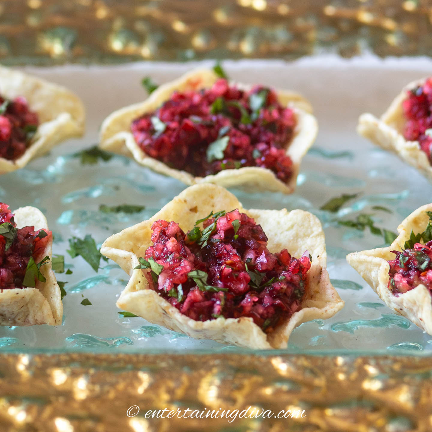 Cranberry Salsa Bites