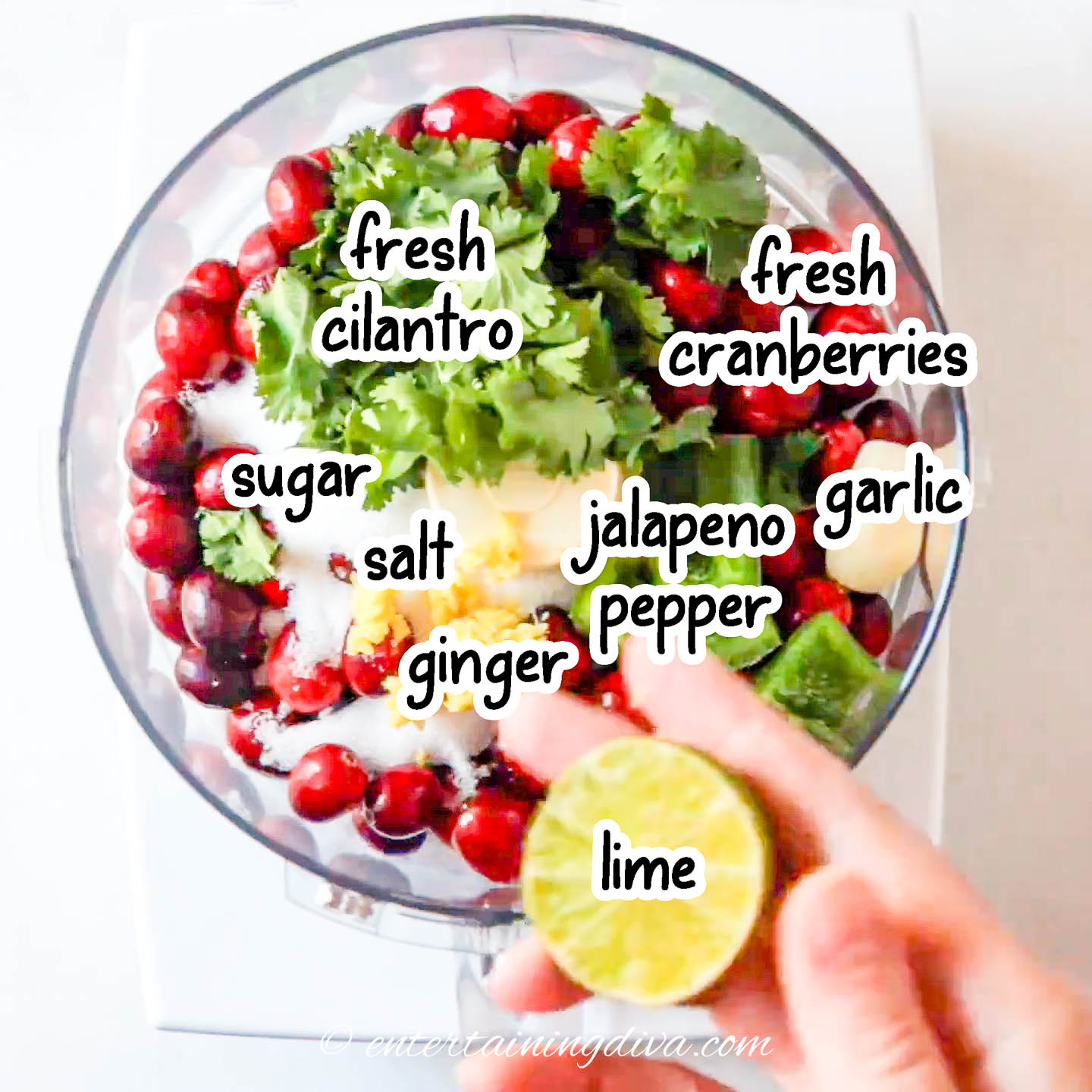 cranberry salsa ingredients
