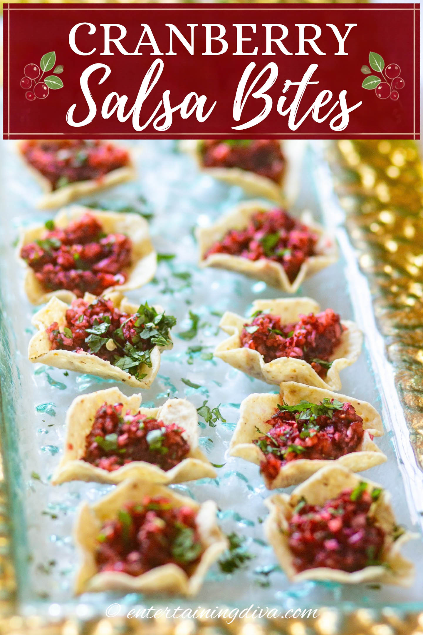 Cranberry salsa bites