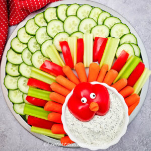 overhead picture of the turkey veggie tray